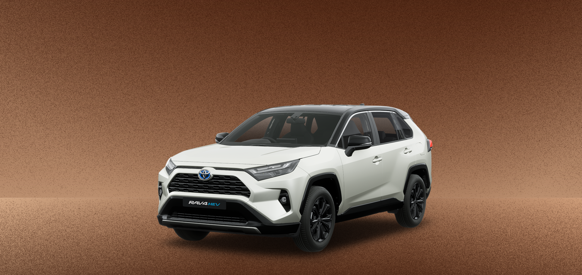 The Insider's Guide to Car Deal Shopping, Showroom Insights, and Test Drives