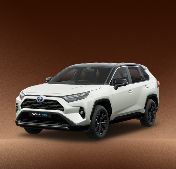 The Insider's Guide to Car Deal Shopping, Showroom Insights, and Test Drives